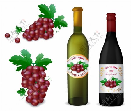 红酒葡萄酒设计图片