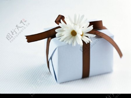 高精节日素材19白色礼品盒加花图片