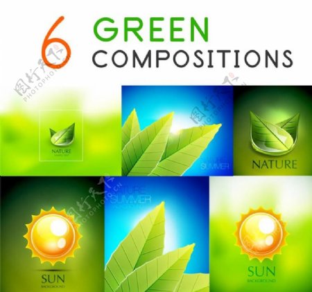 绿叶绿植环保图标图片
