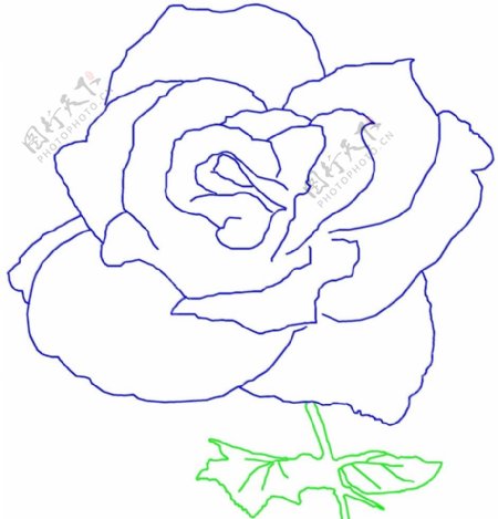 蓝玫瑰绘画图片