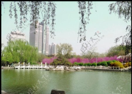 济南泉城公园图片