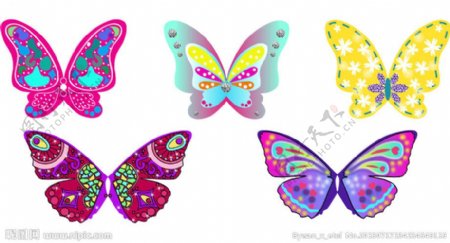 蝴蝶纹样素材图片