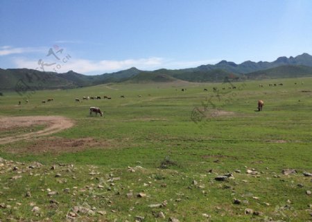 草原风景图片