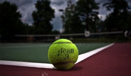 唯美网球图片