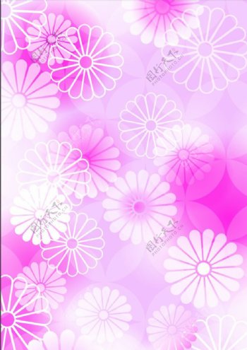 粉色梦幻花朵图片