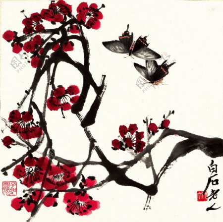 红梅双蝶图片
