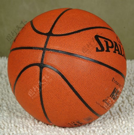 斯伯丁篮球图片