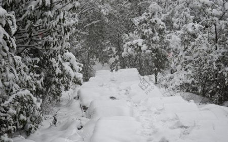 雪景图片