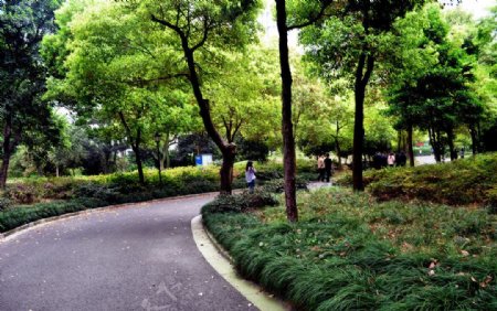 上海市中心绿地图片