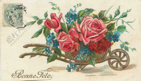 复古玫瑰花明信片图片