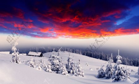 雪地上的火烧云图片