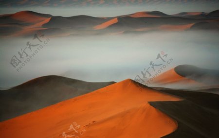 沙漠晨雾图片