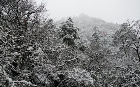 山中雪景图片