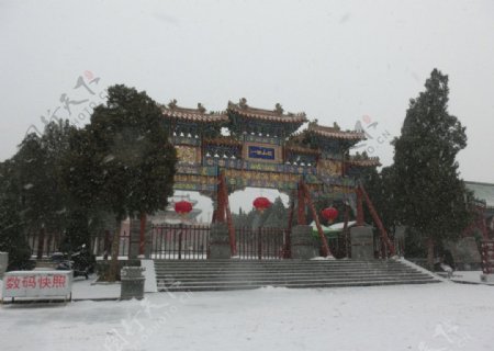 中岳庙雪景图片