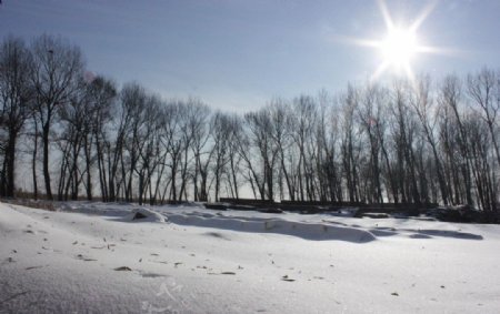 雪后的太阳图片