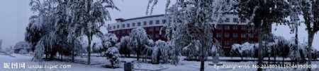 雪后的校园图片
