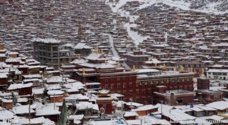 端午雪后色达图片