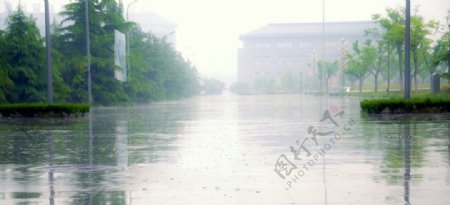 雨中校园图片