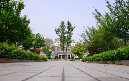 枣庄实验学校图片
