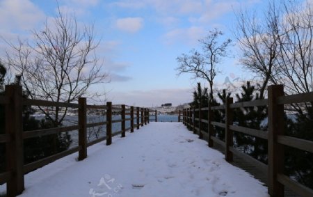 天沐湖畔雪景图片