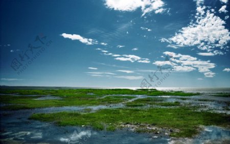 草原上的呼伦湖图片