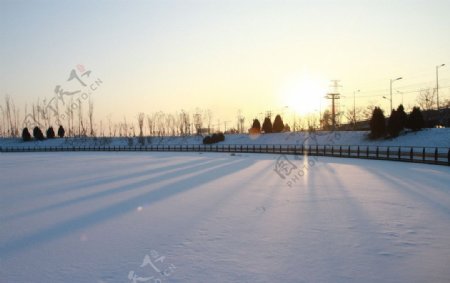 雪天图片