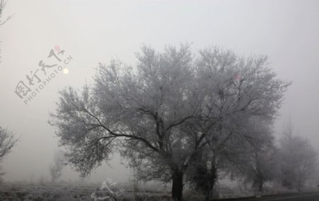 大雾来袭图片