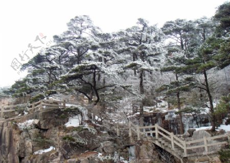安徽黄山雪景图片