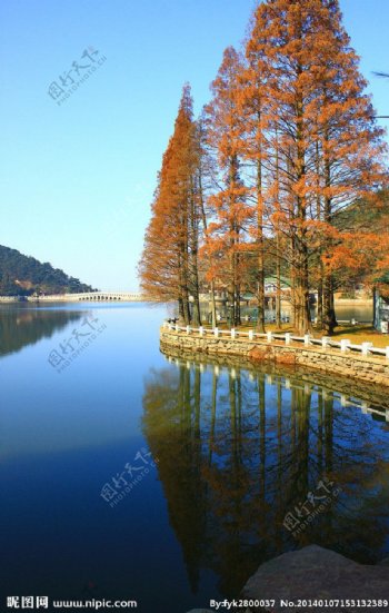 芦林湖美景图片