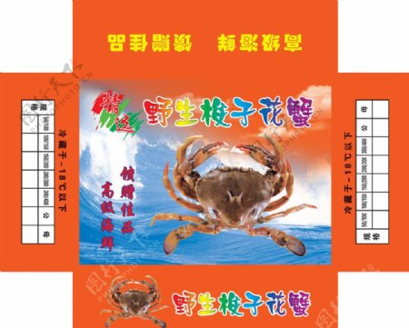 野生梭子蟹包装图片