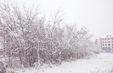 统建楼家前冬天雪景图片
