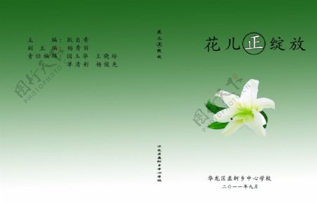 花儿正在绽放图片