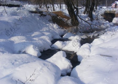 冬雪小溪流水图片