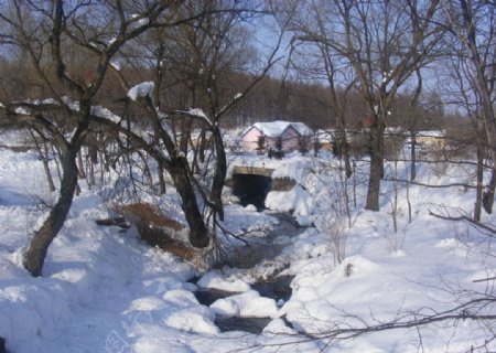 冬日雪景河流图图片