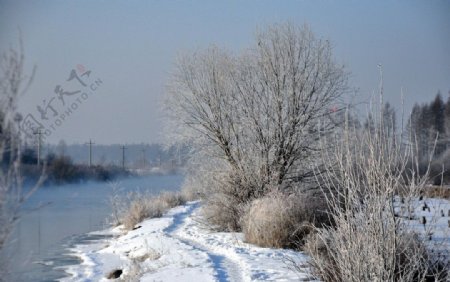 雪景图片