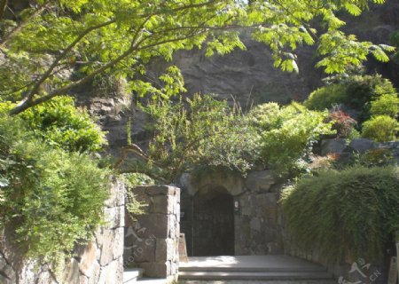 辰山植物园步道图片