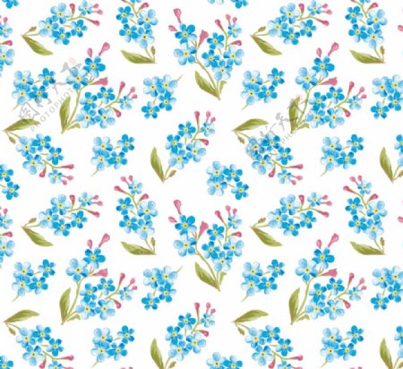 蓝色水彩花卉背景兰花图背景图片