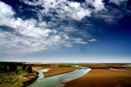 塔里木河自然景观图片