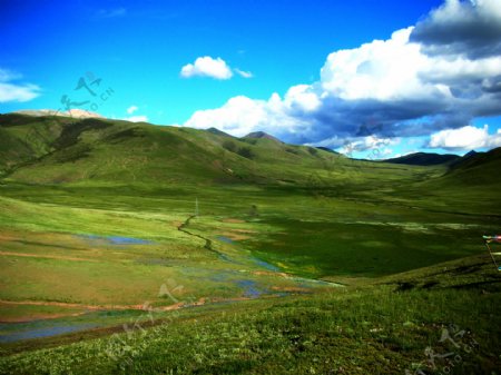 西藏湿地图片