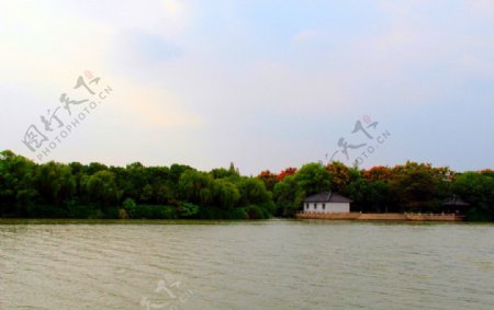 湖边一景图片