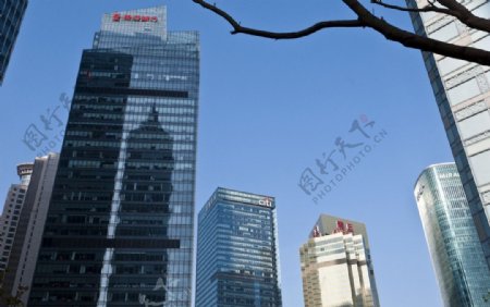 上海陆家嘴建筑图片