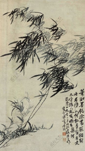 国画竹子图片