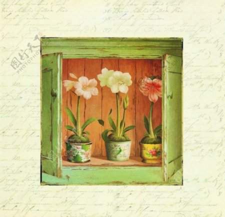 窗台上的花盆图片