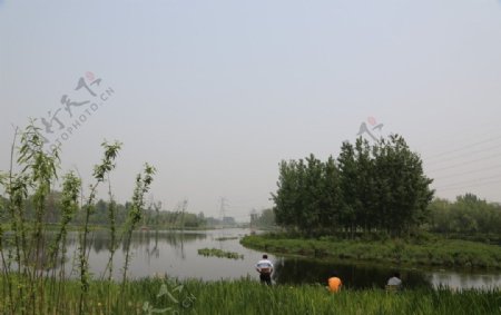 湿地一组照图片