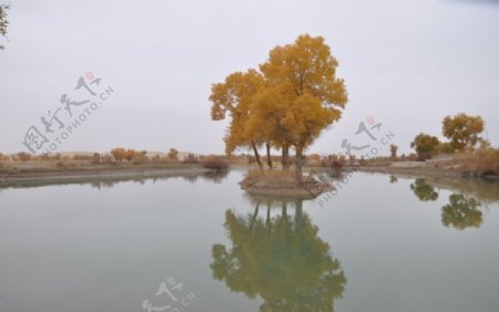 新疆库尔勒风景图片