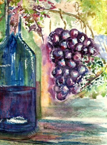 红酒葡萄水彩画图片