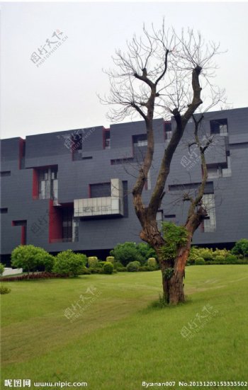 广东省博物馆图片