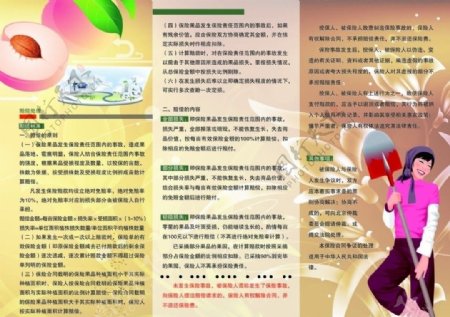 桃子宣传折页图片