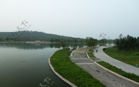 莲花湖岸图片