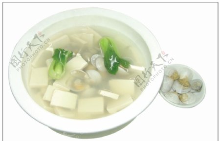 青蛤豆腐汤图片